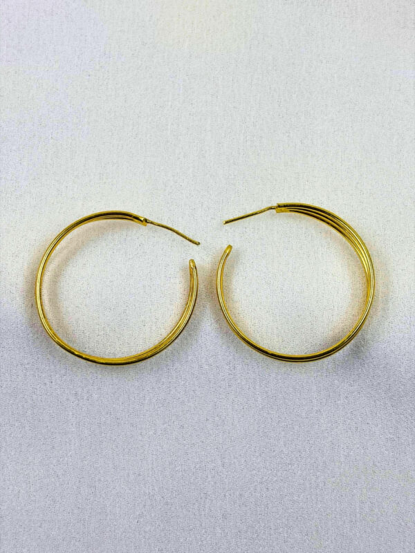 Aniya Gold-Finish Earrings