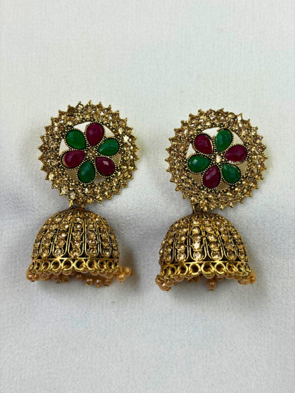 Aarna Colour Drop Earrings