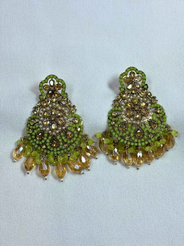 Dhriti Colour Drop Earrings