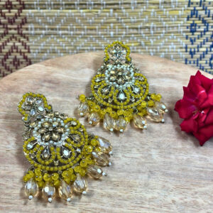 Dhriti Colour Drop Earrings