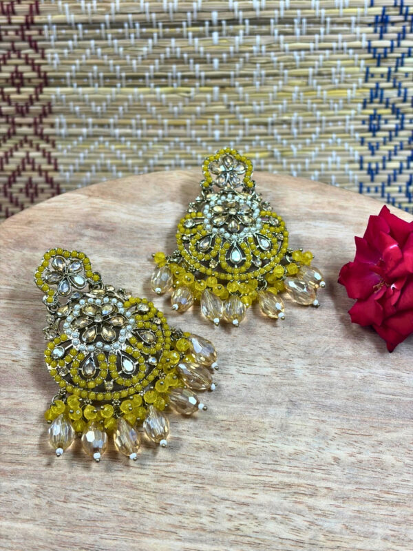 Dhriti Colour Drop Earrings